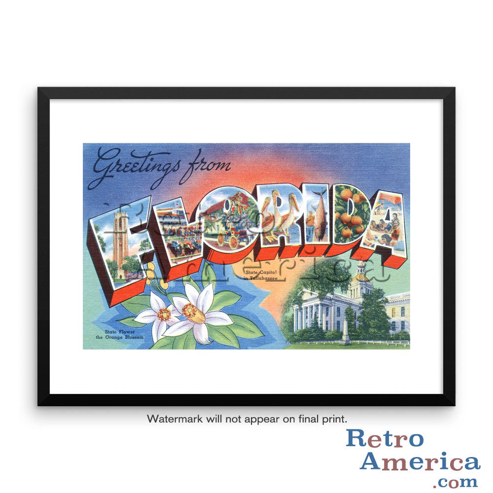 Greetings from Florida FL 1 Postcard Framed Wall Art