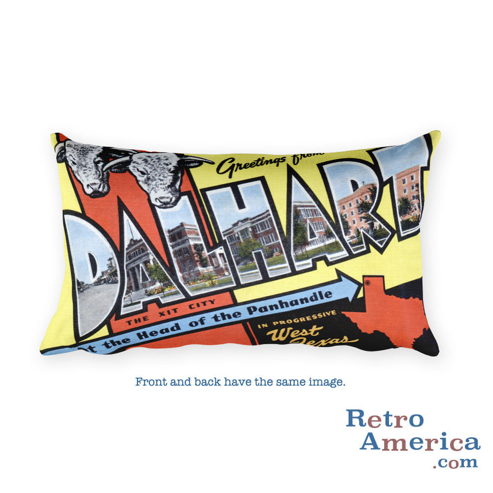 Greetings from Dalhart Texas Throw Pillow
