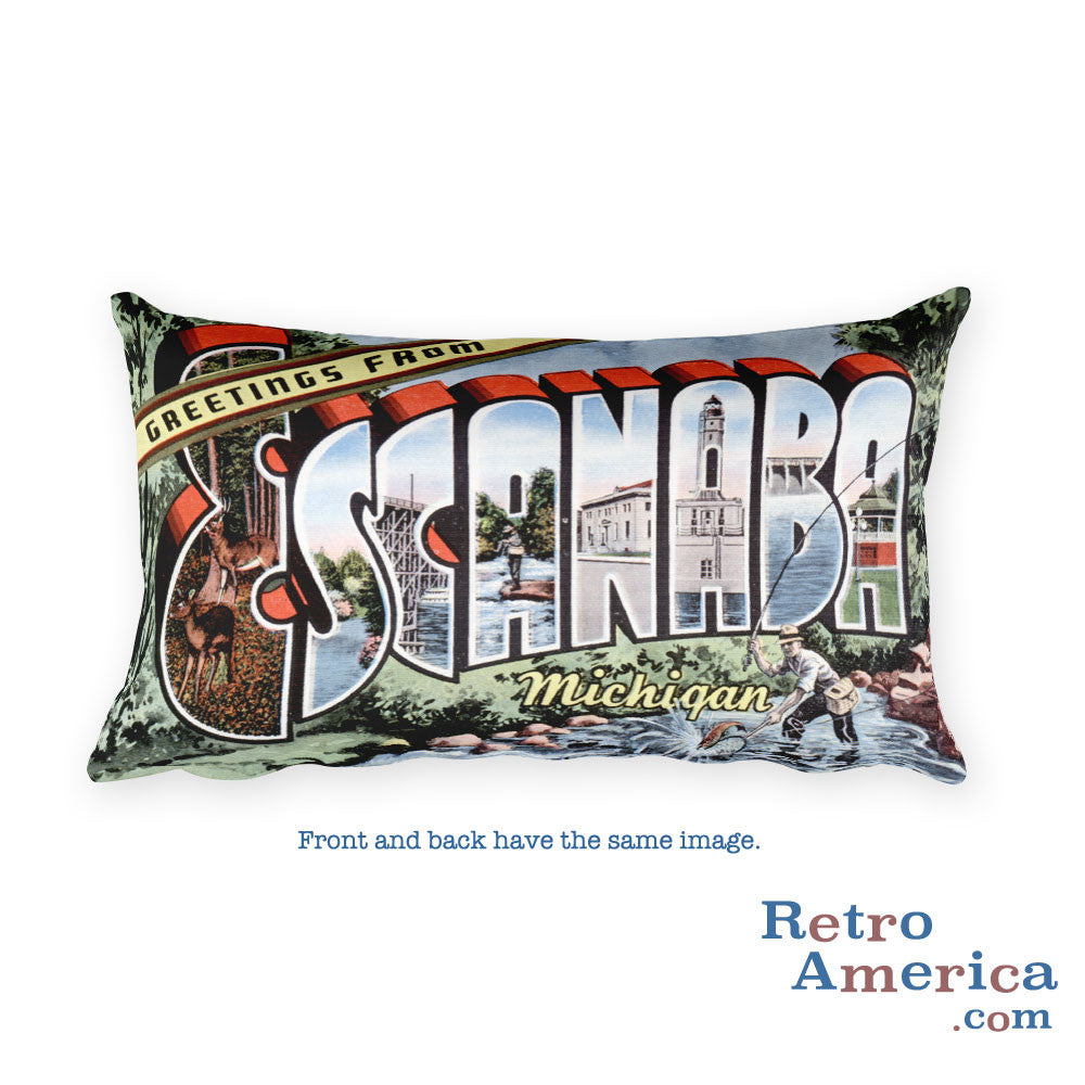 Greetings from Escanaba Michigan Throw Pillow