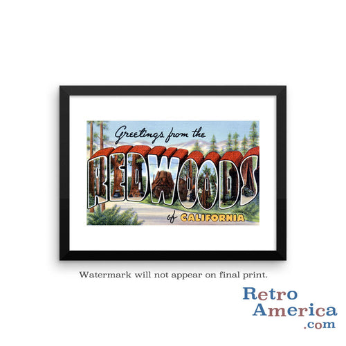 Greetings from Redwoods California CA Postcard Framed Wall Art
