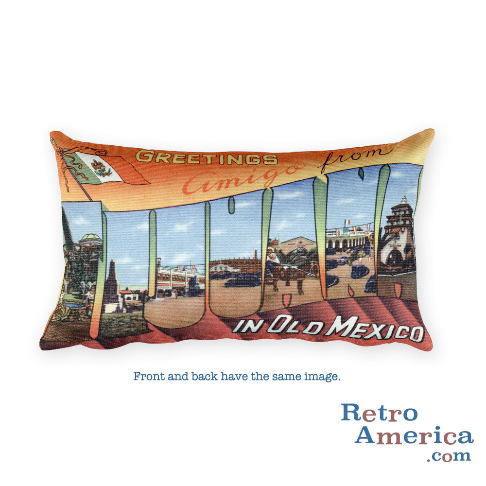 Greetings from Tijuana Mexico Throw Pillow 2