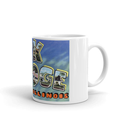 Greetings from Park Ridge Illinois Unique Coffee Mug, Coffee Cup
